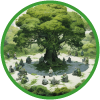 Cascading plants representing an organization